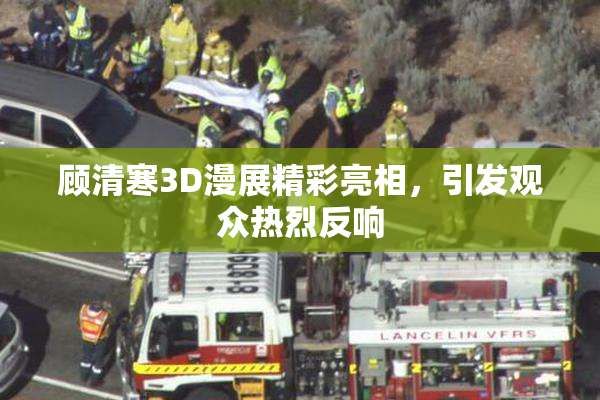 顾清寒3D漫展精彩亮相，引发观众热烈反响