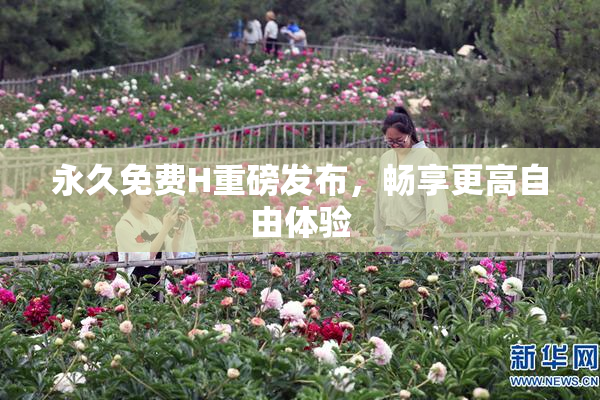 永久免费H重磅发布，畅享更高自由体验