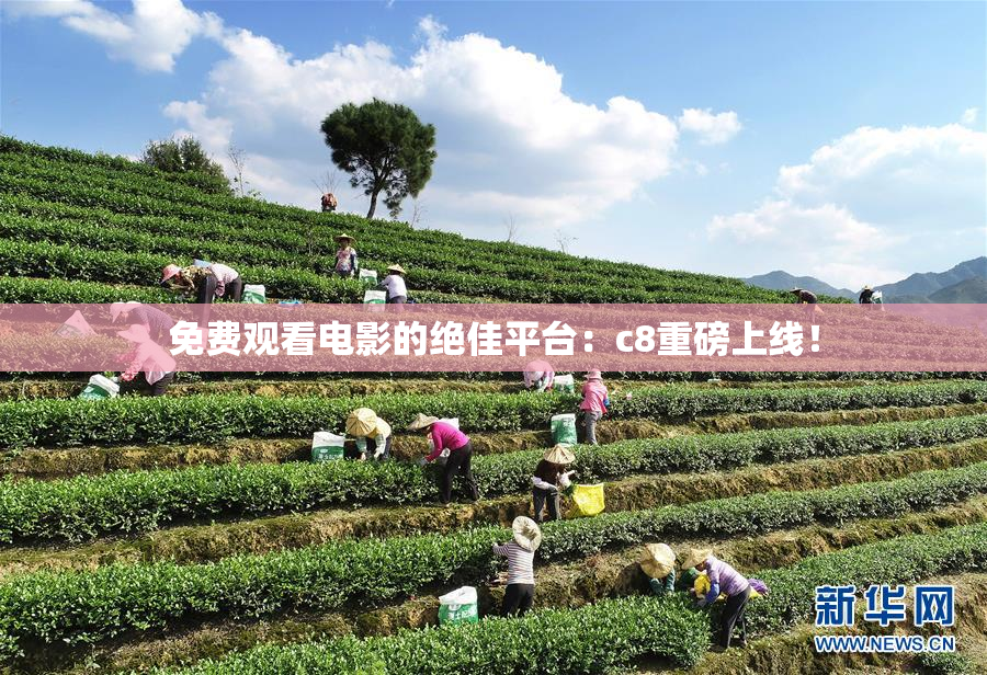 免费观看电影的绝佳平台：c8重磅上线！