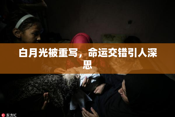 白月光被重写，命运交错引人深思