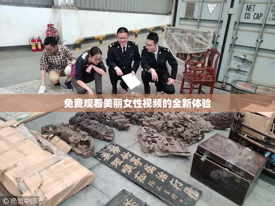 免费观看美丽女性视频的全新体验