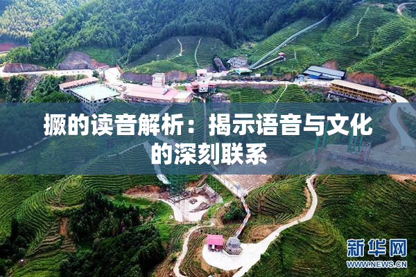 撅的读音解析：揭示语音与文化的深刻联系
