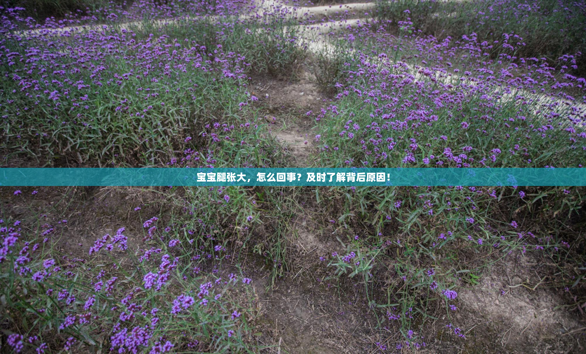 宝宝腿张大，怎么回事？及时了解背后原因！