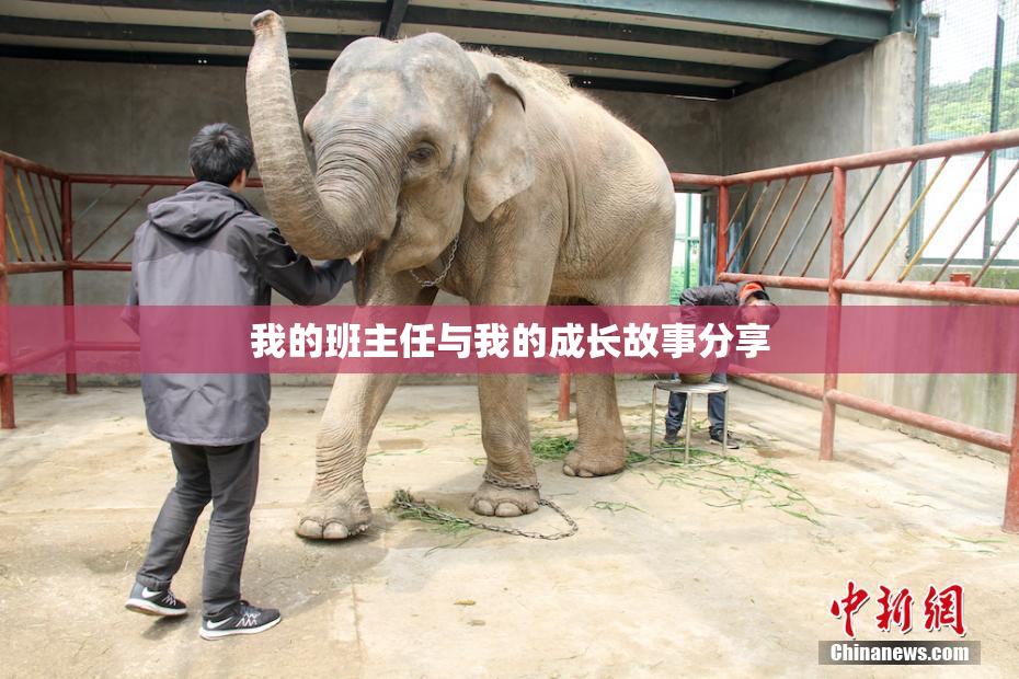 我的班主任与我的成长故事分享