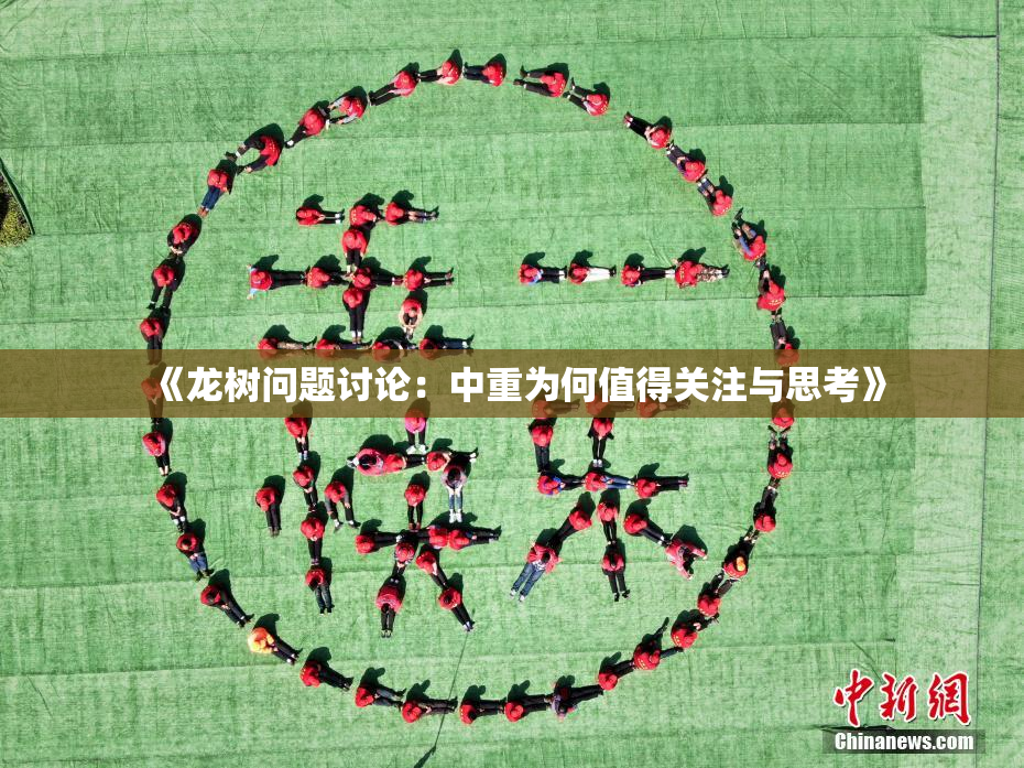 《龙树问题讨论：中重为何值得关注与思考》