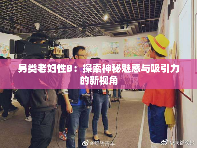 另类老妇性B：探索神秘魅惑与吸引力的新视角
