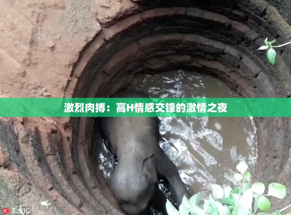激烈肉搏：高H情感交锋的激情之夜
