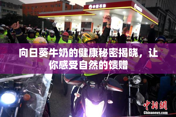 向日葵牛奶的健康秘密揭晓，让你感受自然的馈赠