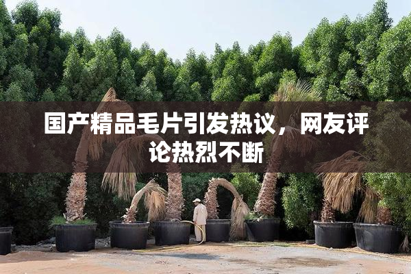 国产精品毛片引发热议，网友评论热烈不断