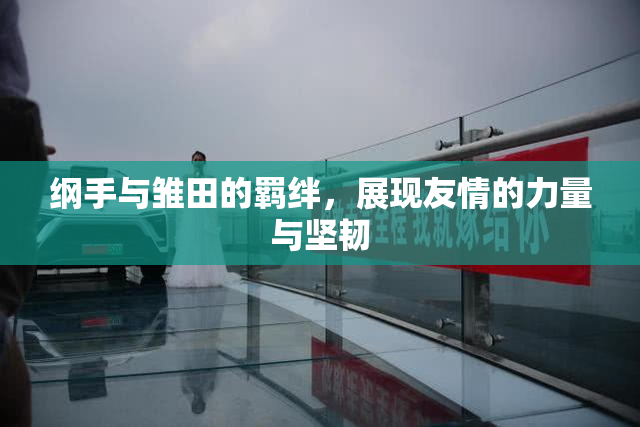 纲手与雏田的羁绊，展现友情的力量与坚韧