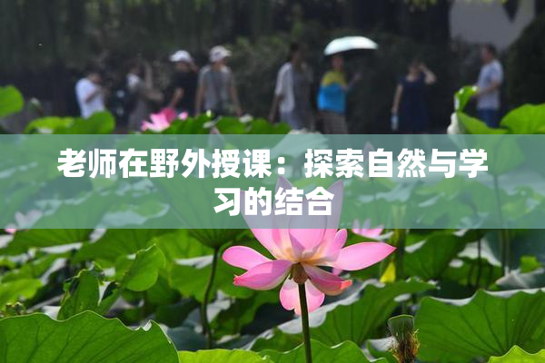老师在野外授课：探索自然与学习的结合