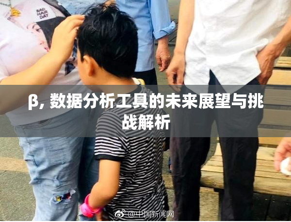 β, 数据分析工具的未来展望与挑战解析