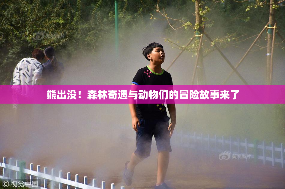 熊出没！森林奇遇与动物们的冒险故事来了