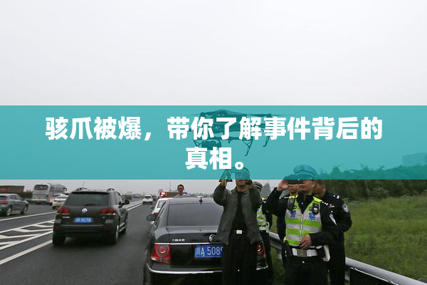 骇爪被爆，带你了解事件背后的真相。