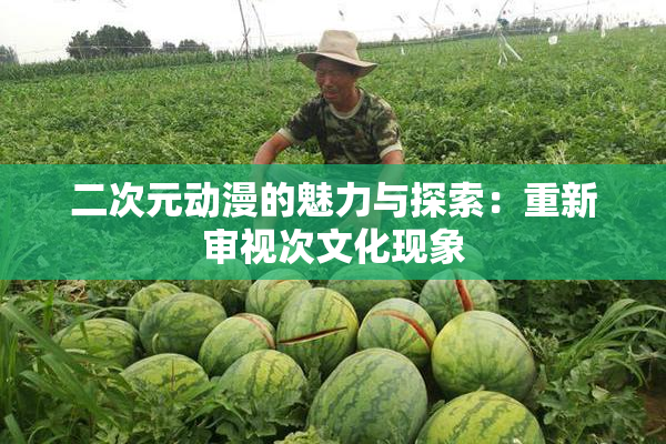 二次元动漫的魅力与探索：重新审视次文化现象
