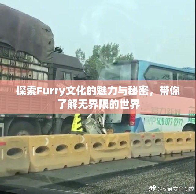 探索Furry文化的魅力与秘密，带你了解无界限的世界