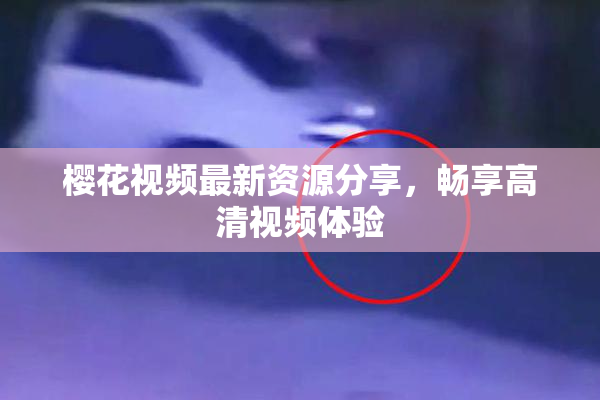 樱花视频最新资源分享，畅享高清视频体验