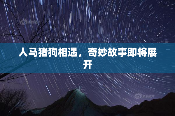 人马猪狗相遇，奇妙故事即将展开
