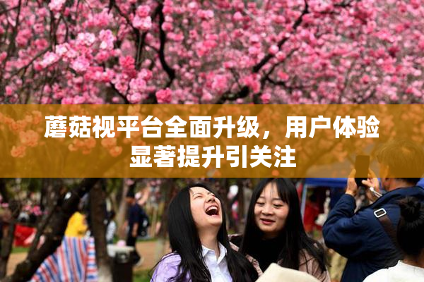 蘑菇视平台全面升级，用户体验显著提升引关注