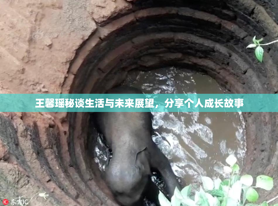 王馨瑶秘谈生活与未来展望，分享个人成长故事