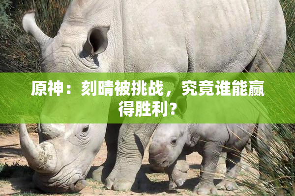 原神：刻晴被挑战，究竟谁能赢得胜利？