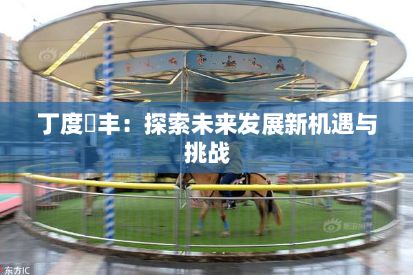 丁度巜丰：探索未来发展新机遇与挑战