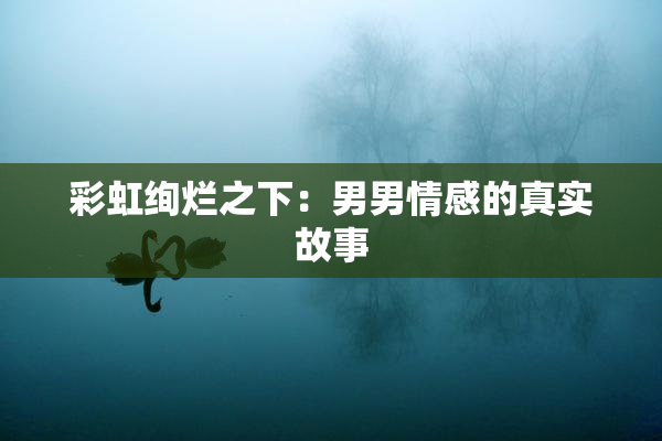 彩虹绚烂之下：男男情感的真实故事