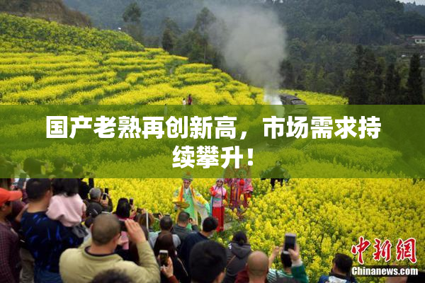 国产老熟再创新高，市场需求持续攀升！