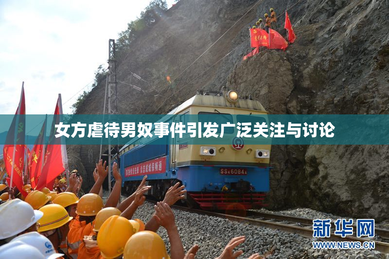 女方虐待男奴事件引发广泛关注与讨论