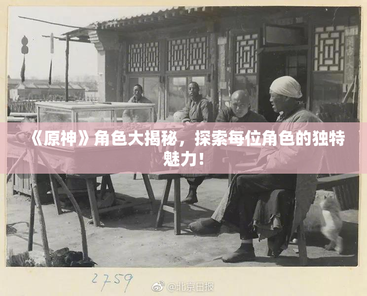 《原神》角色大揭秘，探索每位角色的独特魅力！