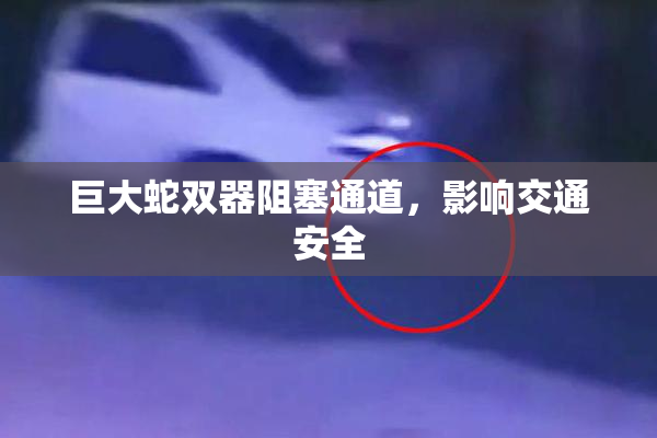 巨大蛇双器阻塞通道，影响交通安全