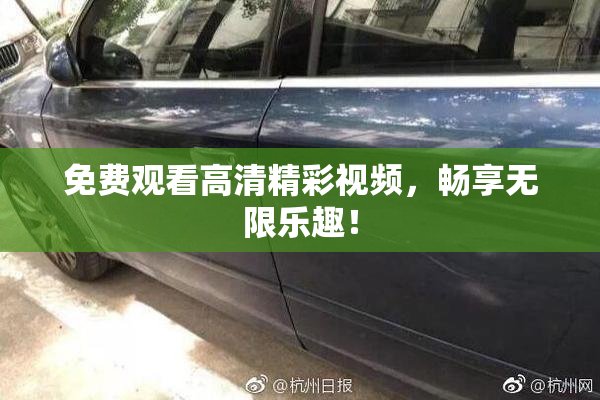 免费观看高清精彩视频，畅享无限乐趣！