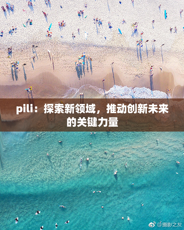 pili：探索新领域，推动创新未来的关键力量