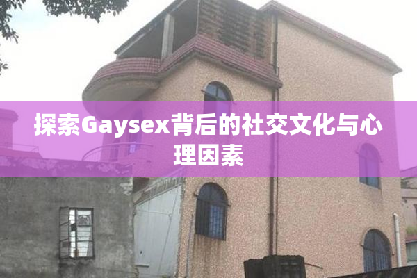 探索Gaysex背后的社交文化与心理因素