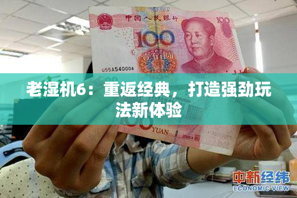 老湿机6：重返经典，打造强劲玩法新体验