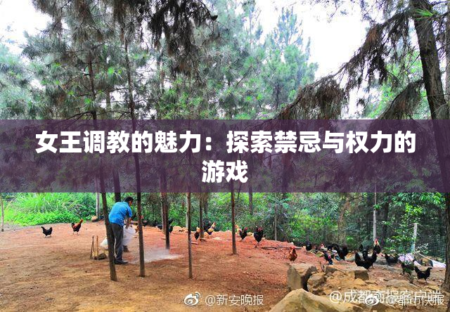 女王调教的魅力：探索禁忌与权力的游戏