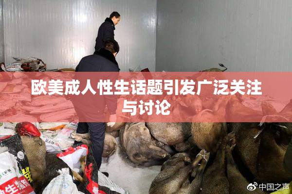 欧美成人性生话题引发广泛关注与讨论