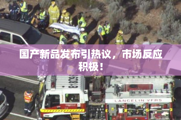 国产新品发布引热议，市场反应积极！