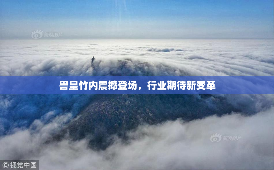 兽皇竹内震撼登场，行业期待新变革