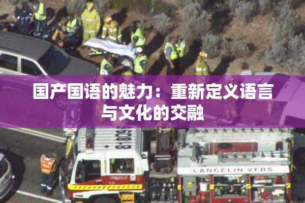 国产国语的魅力：重新定义语言与文化的交融