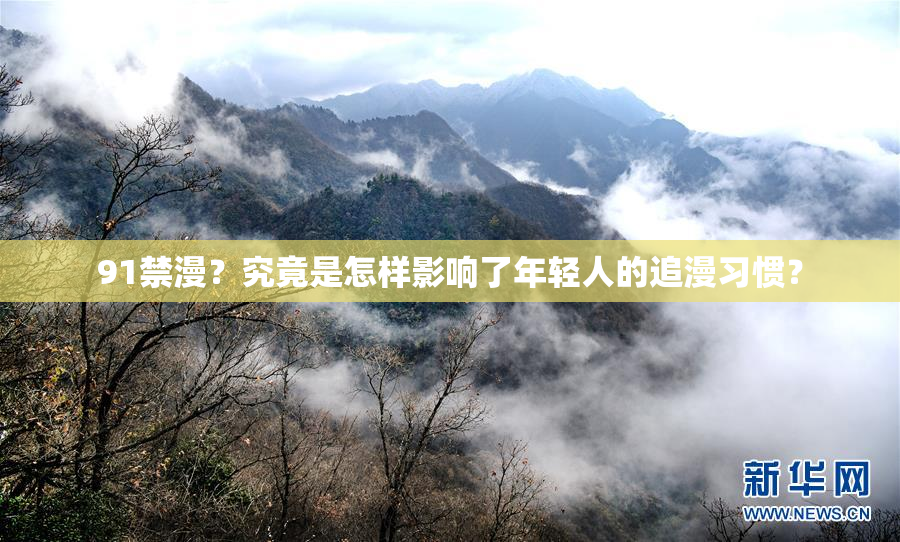 91禁漫？究竟是怎样影响了年轻人的追漫习惯？