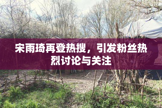 宋雨琦再登热搜，引发粉丝热烈讨论与关注