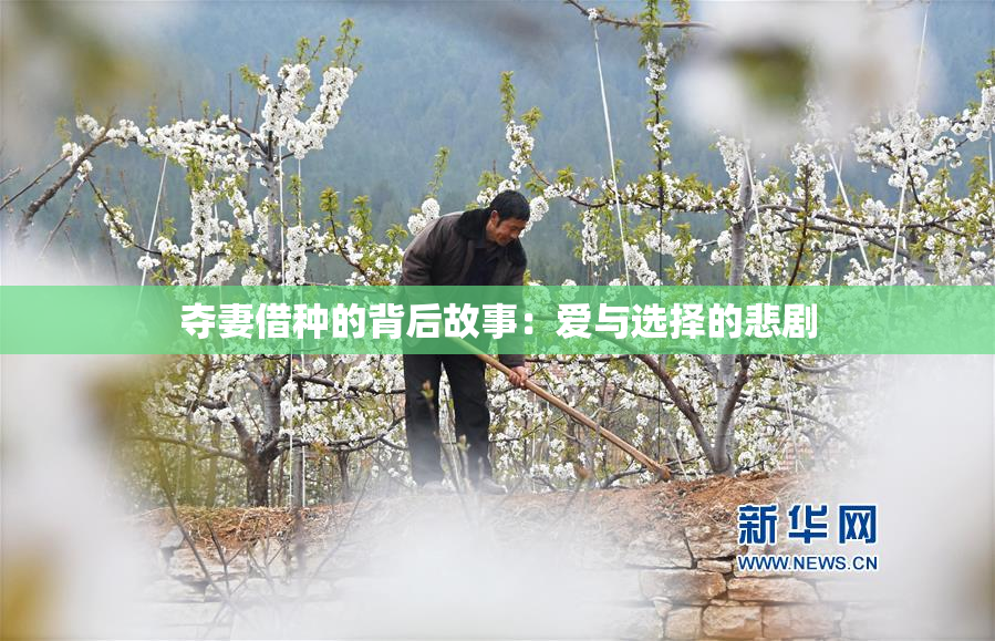夺妻借种的背后故事：爱与选择的悲剧