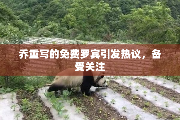 乔重写的免费罗宾引发热议，备受关注