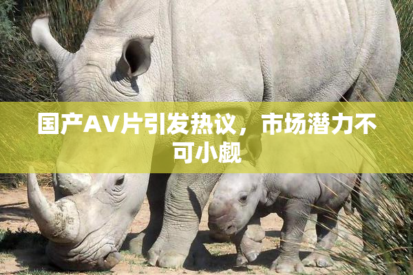 国产AV片引发热议，市场潜力不可小觑