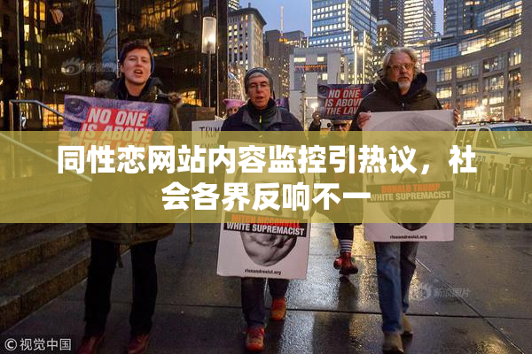 同性恋网站内容监控引热议，社会各界反响不一