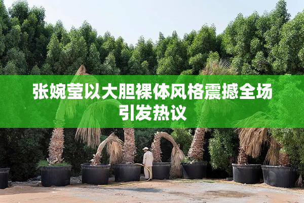张婉莹以大胆裸体风格震撼全场引发热议
