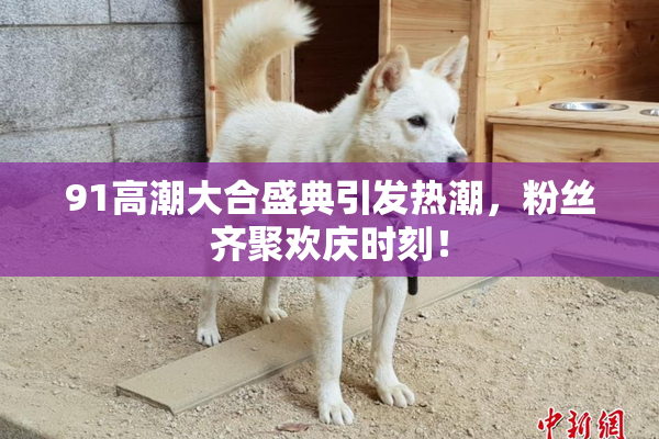 91高潮大合盛典引发热潮，粉丝齐聚欢庆时刻！