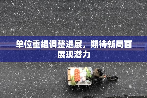 单位重组调整进展，期待新局面展现潜力