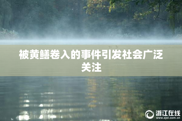 被黄鳝卷入的事件引发社会广泛关注